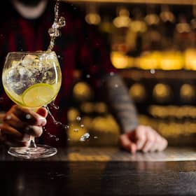 12 Gins of Christmas