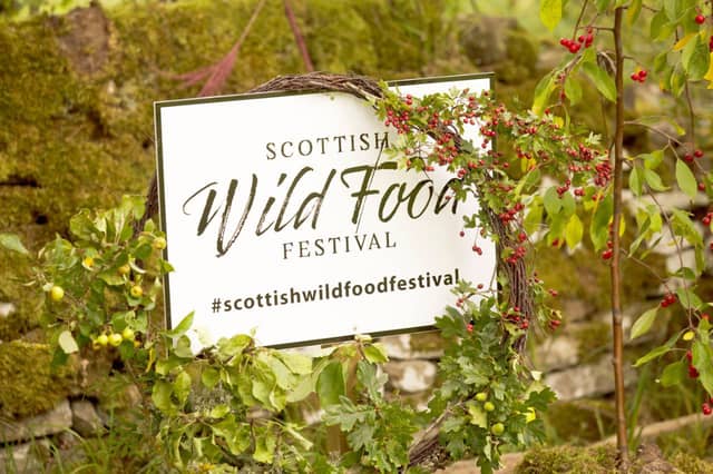 Picture: Foraging Fortnight