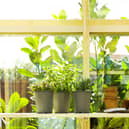 National Gardening Week