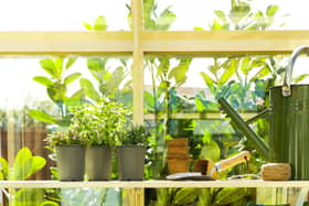 National Gardening Week