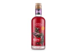 Lidl gin liqeuer