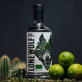 Cactus and Lime Gin