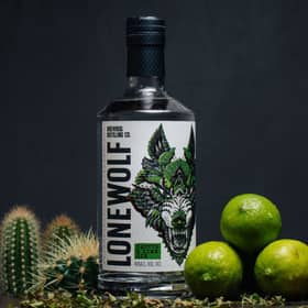 Cactus and Lime Gin