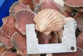 Ethical Shellfish delivery