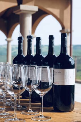 wine pairing