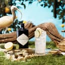 Hendrink's drinks