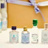 craft gin tastings