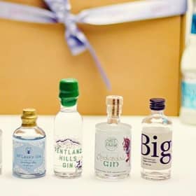 craft gin tastings