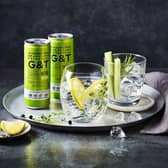 alcohol-free G&T
