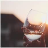 wine taster