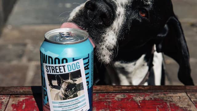 Street Dog Punk IPA