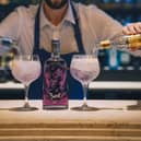 Boe Gin Tonic vs Lemonade 2