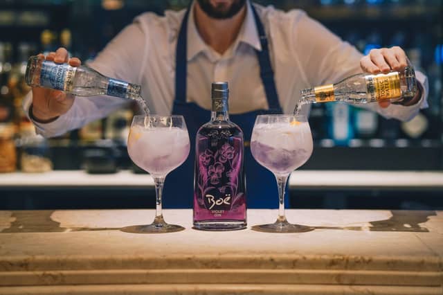 Boe Gin Tonic vs Lemonade 2