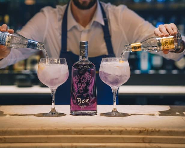 Boe Gin Tonic vs Lemonade 2