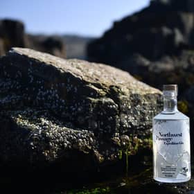 northwest passage gin