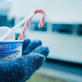 turkey and cranberry ice cream
