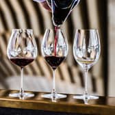 riedel glass shape