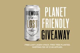 brewdog free lost lager