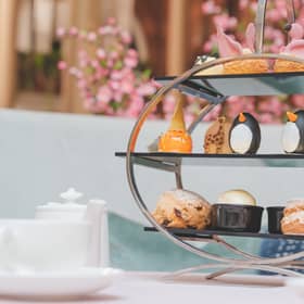 zoo afternoon tea