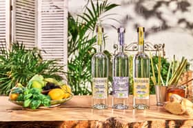 Belvedere OI Range lifestyle