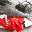 IMG-20210604-WA0009