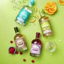 Hortus Gin Festival, July 2021