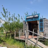 Narrowboat Farm Linlithgow