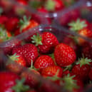 Punnets (2)