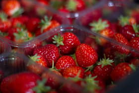 Punnets (2)