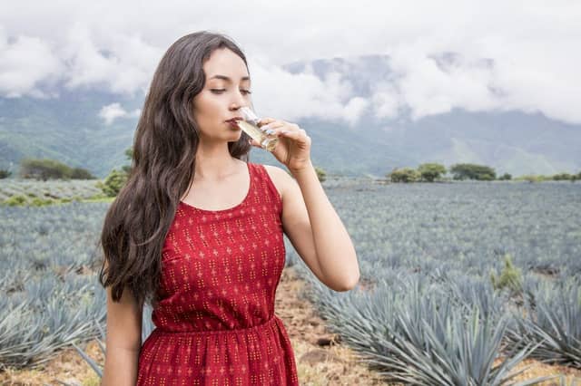 There's so much more to tequila than a quick shot. Here are the best