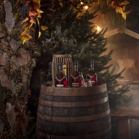 WEB_RES_Enchanted_Forest_0005