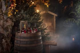 WEB_RES_Enchanted_Forest_0005