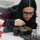Eduarda Cristovam - Head of Coffee - Cupping