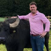 Steve Mitchell The Buffalo Farm