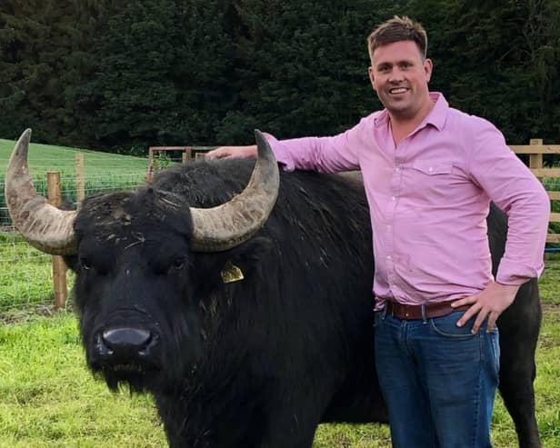 Steve Mitchell The Buffalo Farm