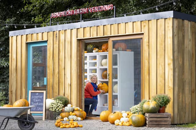 Arnprior Farm Pumpkin Patch unveils a Scottish first - Photo Call
Arnprior Farm, ScotlandÕs premier pumpkin patch, is back for Halloween 2022 with a one-of-a-kind new addition. As well as a bumper crop of over 15,000 pumpkins, this year, the Arnprior team will be unveiling ScotlandÕs only pumpkin vending machine!
Pictured
Arnprior farmer Rebecca McEwen at the new vending machine.
This unique vending hut, which was designed by Steven Stanger, will allow visitors at the swimming pool and glamping pods to select a pumpkin, by choosing from a selection through display lockers.
Photograph by Martin Shields
Tel 07572 457000
www.martinshields.com
© Martin Shields