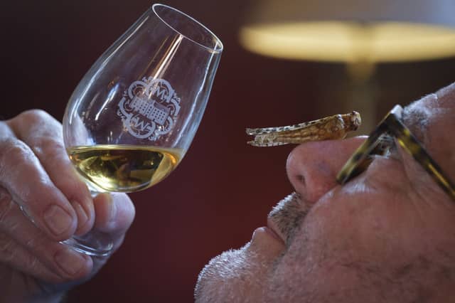 Whisky with critters tasting at the Scotch Malt Whisky Society, Edinburgh.
Photo shows Scott Begbie, SMWS member who lives in Stonehaven.
Photograph: Mike Wilkinson…18/04/23
Credit: Mike Wilkinson.
Copyright: Mike Wilkinson.
Mike Wilkinson.
07768 393673
mike@mike-wilkinson.com
www.mike-wilkinson.com