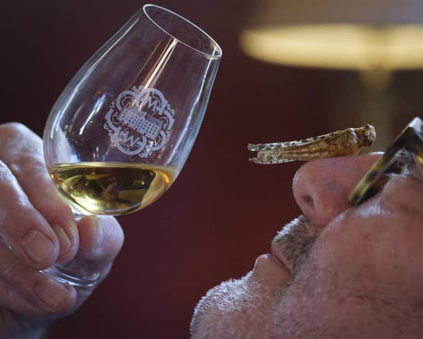 Whisky with critters tasting at the Scotch Malt Whisky Society, Edinburgh.
Photo shows Scott Begbie, SMWS member who lives in Stonehaven.

Photograph: Mike Wilkinson…18/04/23

Credit: Mike Wilkinson.

Copyright: Mike Wilkinson.

Mike Wilkinson.
07768 393673
mike@mike-wilkinson.com
www.mike-wilkinson.com