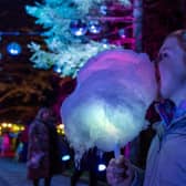 Enchanted Forest food and drink