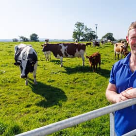 Mossgiel Organic Farm, Mauchline, East Ayrshire. Bryce Cunningham, farmer and owner of Mossgiel Organic Farm near Mauchline is pictured in a field with some of his herd of Ayrshire cows.