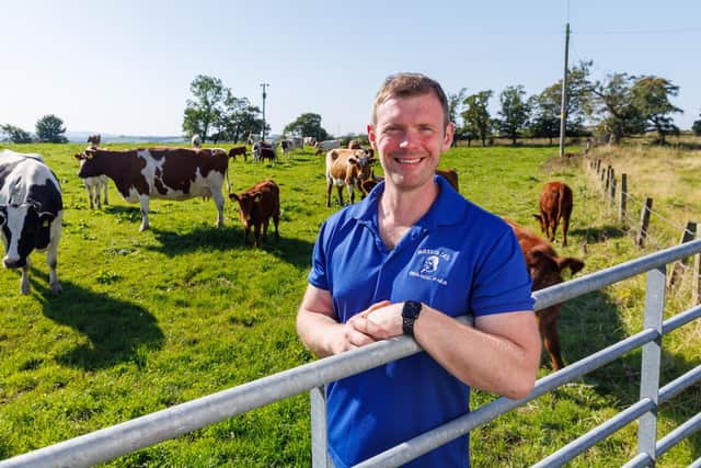 Mossgiel Organic Farm, Mauchline, East Ayrshire. Bryce Cunningham, farmer and owner of Mossgiel Organic Farm near Mauchline is pictured in a field with some of his herd of Ayrshire cows.