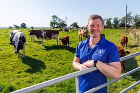 Mossgiel Organic Farm, Mauchline, East Ayrshire. Bryce Cunningham, farmer and owner of Mossgiel Organic Farm near Mauchline is pictured in a field with some of his herd of Ayrshire cows.