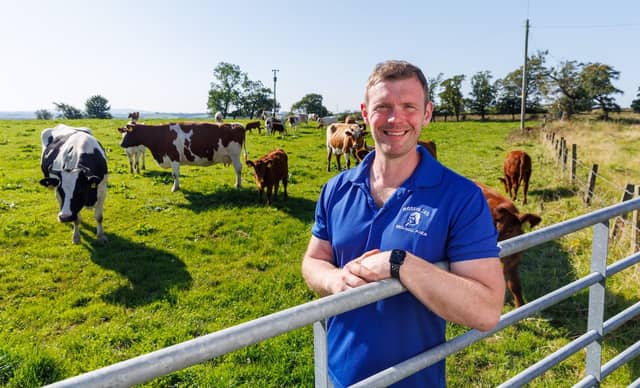 Mossgiel Organic Farm, Mauchline, East Ayrshire. Bryce Cunningham, farmer and owner of Mossgiel Organic Farm near Mauchline is pictured in a field with some of his herd of Ayrshire cows.