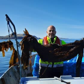 Scran seaweed