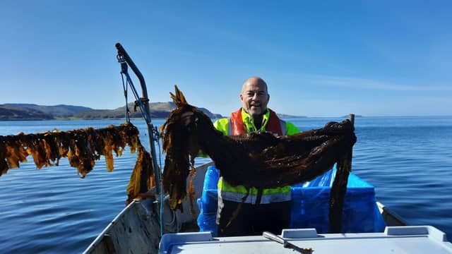 Scran seaweed