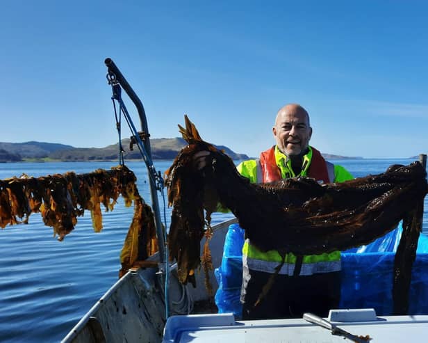 Scran seaweed