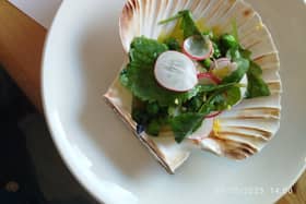 Scran scallops