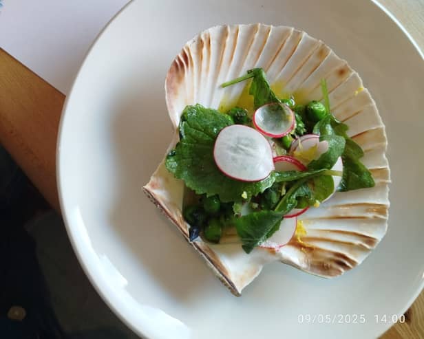 Scran scallops