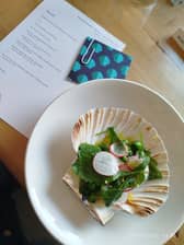 Scran scallops