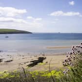 Picture: Scapa Flow